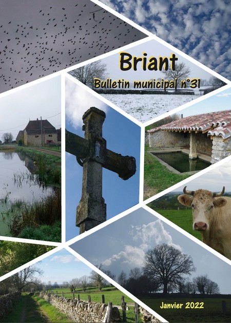 Couverture du bulletin 31