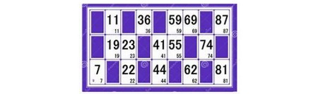 carton de loto violet
